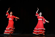 Фламенкита